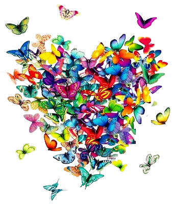 Coloré Coeur Pâtes Papillon. En Forme De Coeur Disposition Des