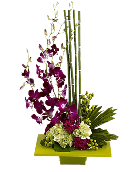 fleurs en pot