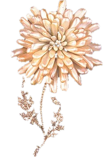 bijoux 15
