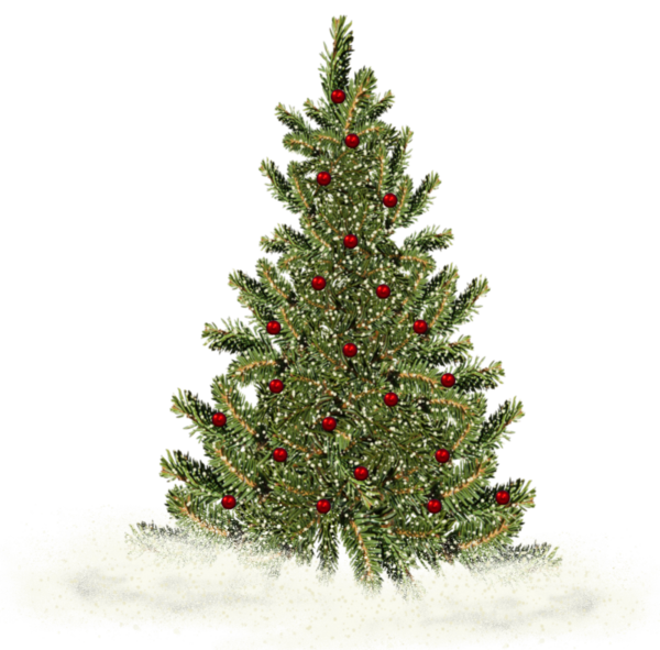 a noel tube sapins