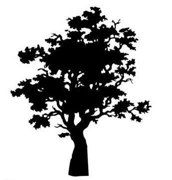 arbre 20