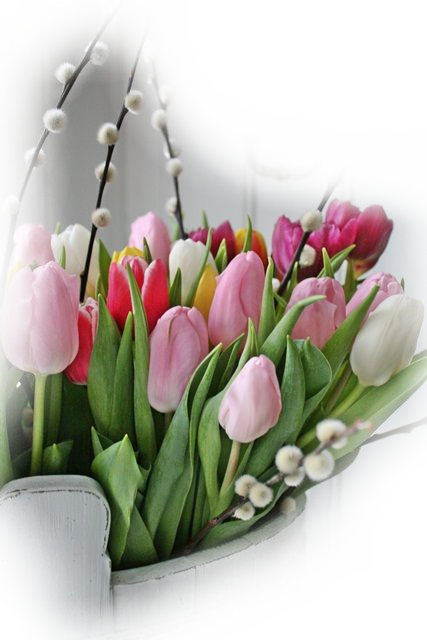 Bon Dimanche F4f2a5be